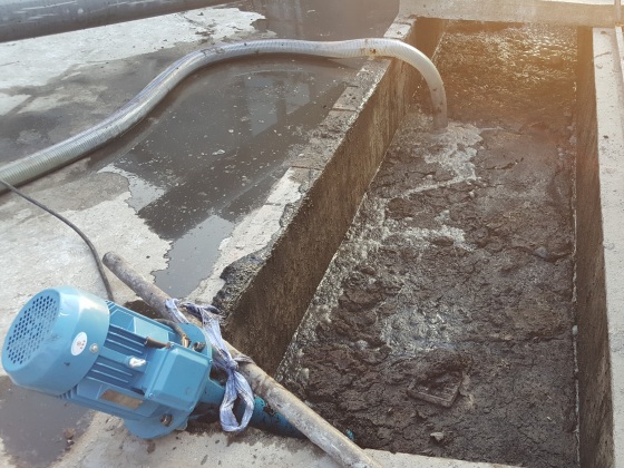 雞糞干濕分離機價格 雞糞干濕分離機價格