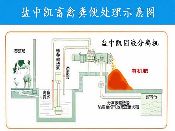 雞糞處理設備示意圖 雞糞處理設備示意圖